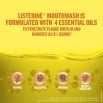 Listerine Mouthwash Essential Oils